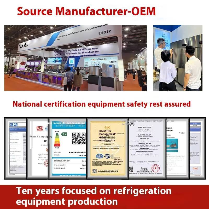 Customized Wheat Snowflake Mak - Commercial Ice Maker reseña y precio